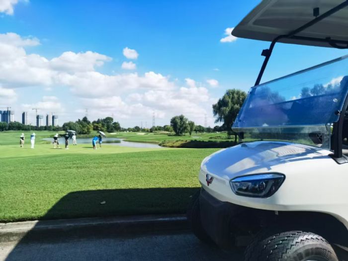 ����߶�����